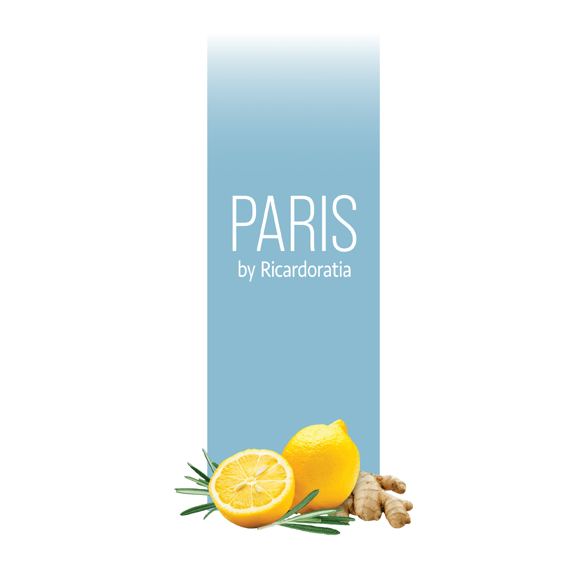 Paris by subscription