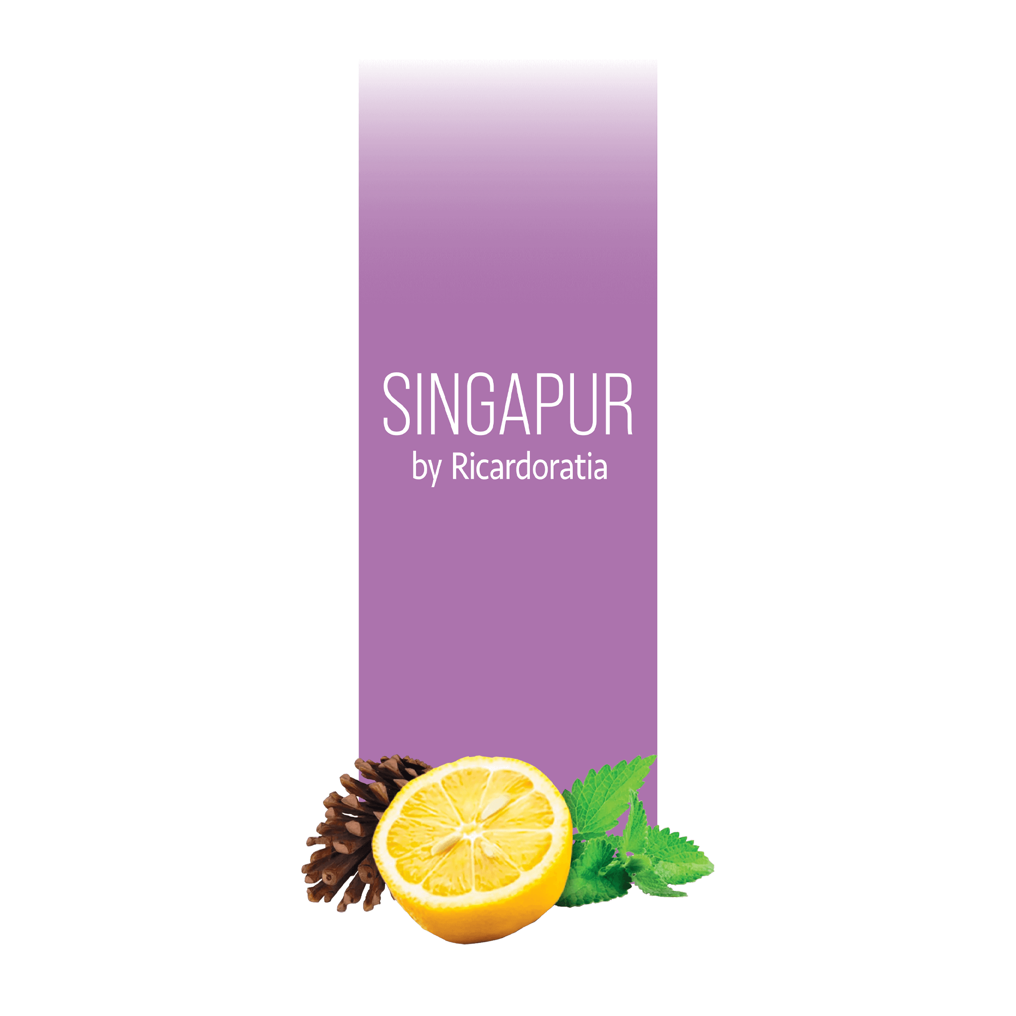 Singapur by subscription