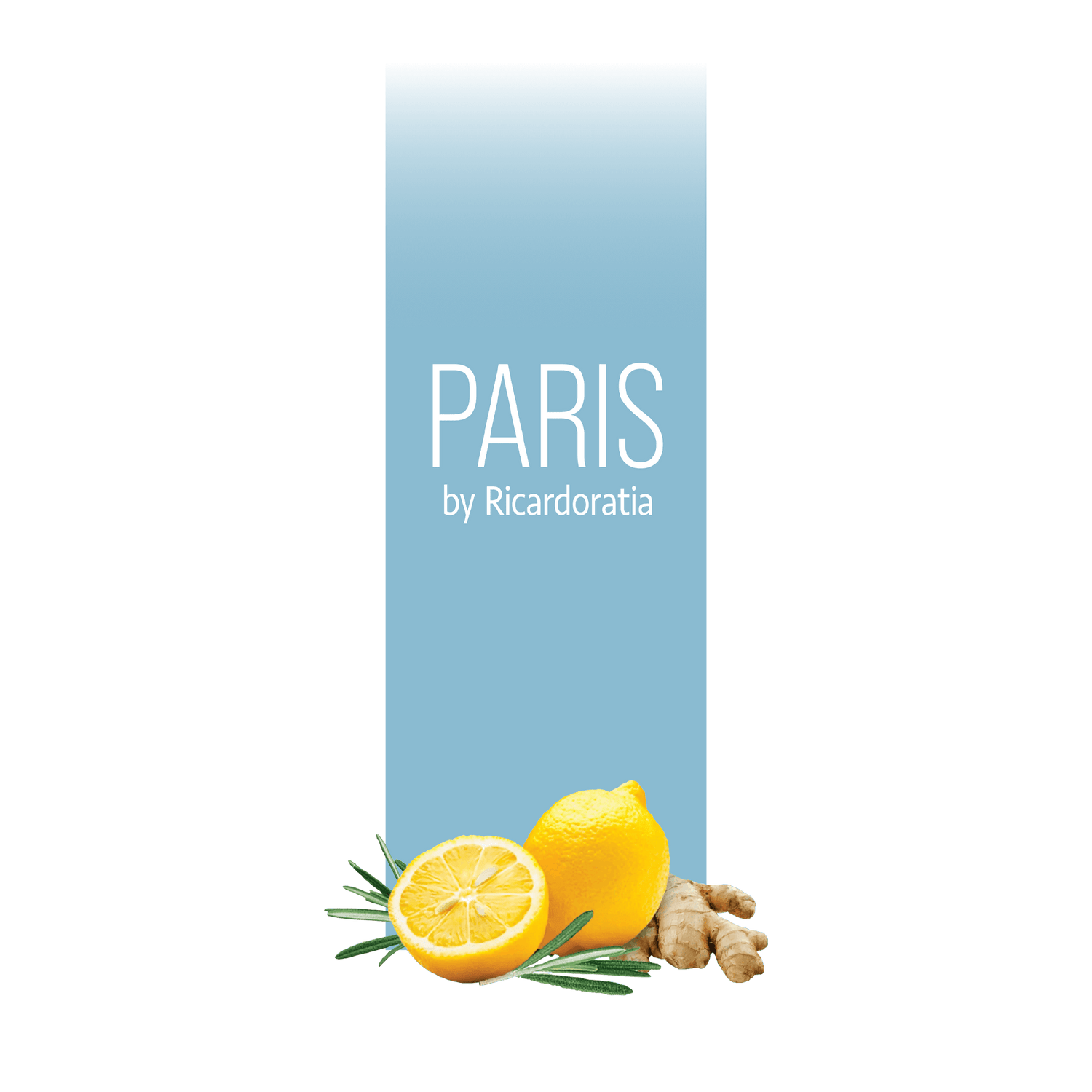 Paris by subscription
