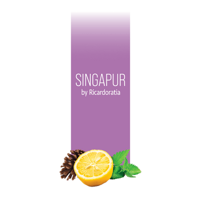 Singapur by subscription