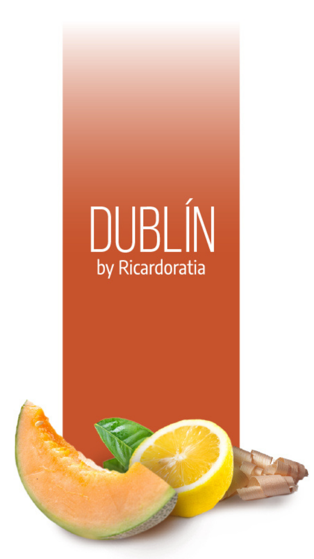 Dublín