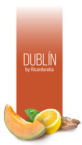Dublín